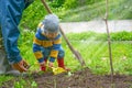 The little boy in the garden tree, little digs sadit tent pole for seedlings. Royalty Free Stock Photo