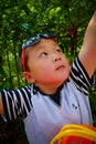 Little boy gathering harvest mulberry berries Royalty Free Stock Photo