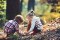 Little boy and girl friends have fun on fresh air. Children pick acorns from oak trees. Brother and sister camping in