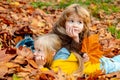 Little boy and girl laying in autumn park. Colorful foliage, maple leaves. Beautiful fall time in nature. Royalty Free Stock Photo