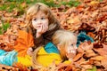 Little boy and girl laying in autumn park. Colorful foliage, maple leaves. Beautiful fall time in nature. Royalty Free Stock Photo