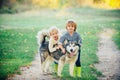 Little Boy and girl playing with his dog outdoors enjoying together. Children camping with pet dog. Children lovingly Royalty Free Stock Photo