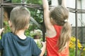 The little boy and girl watches the cafe with curiosity from behind the fence. Royalty Free Stock Photo