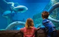 Little boy and girl watching fishes in aquarium Royalty Free Stock Photo