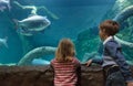 Little boy and girl watching fishes in aquarium Royalty Free Stock Photo