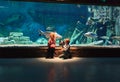 little boy and girl watching fishes in aquarium Royalty Free Stock Photo