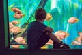 Little Boy and girl watching tropical coral fish in large sea life tank. Kids at the zoo aquarium Royalty Free Stock Photo