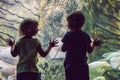 Little Boy and girl watching tropical coral fish in large sea life tank. Kids at the zoo aquarium Royalty Free Stock Photo