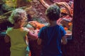 Little Boy and girl watching tropical coral fish in large sea life tank. Kids at the zoo aquarium Royalty Free Stock Photo