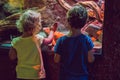 Little Boy and girl watching tropical coral fish in large sea life tank. Kids at the zoo aquarium Royalty Free Stock Photo