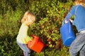 Little boy and girl working in the garden Royalty Free Stock Photo