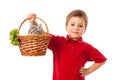 Little boy with gray kitty in basket Royalty Free Stock Photo