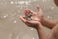 Little boy hand holding hermit crab in shell on the beach Royalty Free Stock Photo