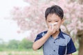 Little boy has running nose from allergies Royalty Free Stock Photo