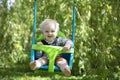 A little boy having fun playing on a swing under a tree in a garden Royalty Free Stock Photo