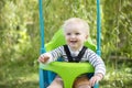 A little boy having fun playing on a swing under a tree in a garden Royalty Free Stock Photo