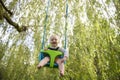 A little boy having fun playing on a swing under a tree in a garden Royalty Free Stock Photo