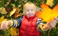 Little boy having fun during stroll in forest at sunny autumn day. Playful child laying on the grass and playing with gold maple Royalty Free Stock Photo