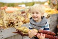 Little boy having fun on a tour of a pumpkin farm at autumn. Child holding indian corn. Traditional autumn agricultural market