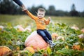 Little boy having fun on a tour of a pumpkin farm at autumn. Child near giant pumpkin. Pumpkin is traditional vegetable used on