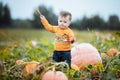 Little boy having fun on a tour of a pumpkin farm at autumn. Child near giant pumpkin. Pumpkin is traditional vegetable used on