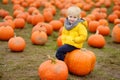 Little boy having fun on a tour of a pumpkin farm at autumn. Child sitting on giant pumpkin