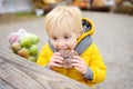 Little boy having lunch after shopping on traditional farmer agricultural market at autumn. Child eating donuts. Near kid on bench Royalty Free Stock Photo