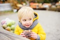 Little boy having lunch after shopping on traditional farmer agricultural market at autumn. Child eating donuts. Near kid on bench Royalty Free Stock Photo