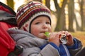 Little boy having a snack in the stroller Royalty Free Stock Photo