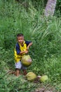 Little boy helping his father to gather coconuts. Little helper in the park.