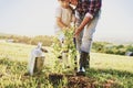 Little boy helping to plant a tree Royalty Free Stock Photo