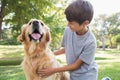 Little boy with his dog in the park Royalty Free Stock Photo