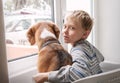 Little boy with his dog waiting together near the window Royalty Free Stock Photo