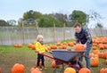 Little boy and his father on a pumpkin farm at autumn. Family with child hold a wheelbarrow with pumpkins