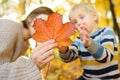 Little boy and his mother having fun during stroll in the forest at sunny autumn day. Child and mom playing maple leaves. Family Royalty Free Stock Photo