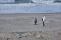 Little boy with his mother, watching something far away, standing on the sand at the beach in Denmark, next to the foaming sea Royalty Free Stock Photo