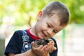 Little boy holding a baby chick on a farm. Concept of happy life