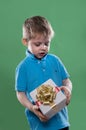 A little boy holding a gift box in his hands isolated on the green background Royalty Free Stock Photo