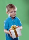 A little boy holding a gift box in his hands isolated on the green background Royalty Free Stock Photo