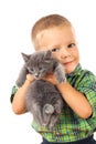 Little boy holding a gray kitten