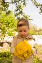 A little boy is holding a large bouquet of yellow dandelions, shy, grimacing, a gift to his mother Royalty Free Stock Photo