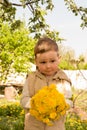 A little boy is holding a large bouquet of yellow dandelions, shy, grimacing, a gift to his mother Royalty Free Stock Photo