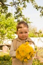 A little boy is holding a large bouquet of yellow dandelions, shy, grimacing, a gift to his mother Royalty Free Stock Photo