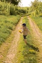 A little boy is holding a large bouquet of yellow dandelions, shy, grimacing, a gift to his mother Royalty Free Stock Photo