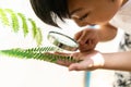 Little boy holding Magnifying glass for learning with nature Royalty Free Stock Photo