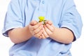 Little boy holding plant in hands Royalty Free Stock Photo