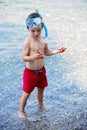 Little boy holding red five point starfish and net in his hands Royalty Free Stock Photo