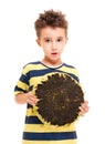 Little boy holding ripe sunflower