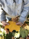 Little boy holding a yellow autumn leaf
