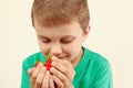 Little boy holds handful of sweet red strawberries Royalty Free Stock Photo